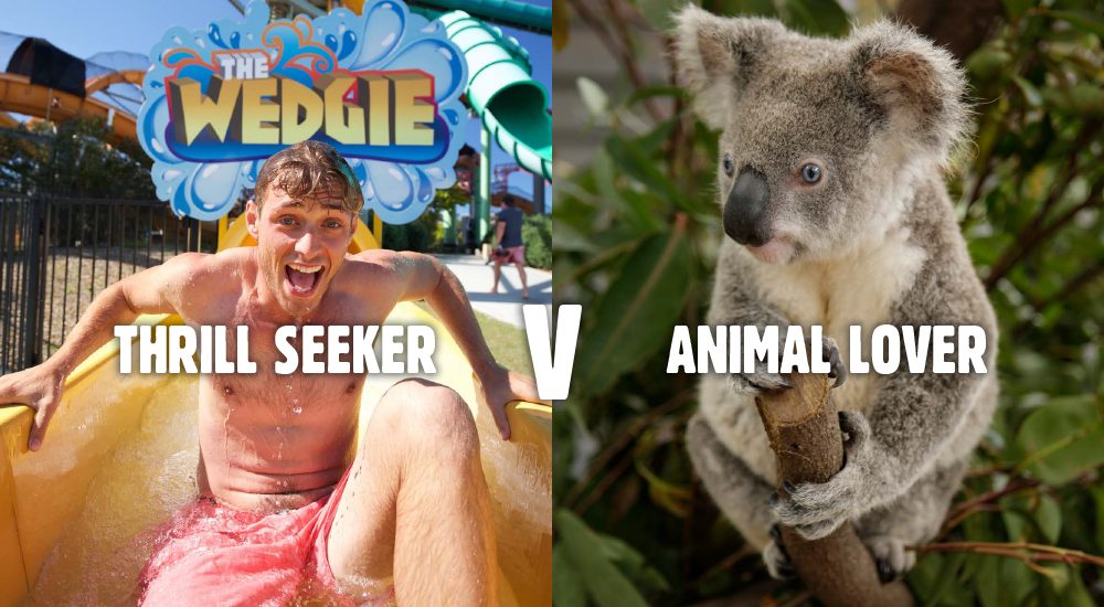 Dreamworld Web Banner