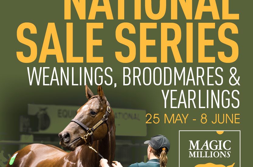 Magic Millions Web Banners 1